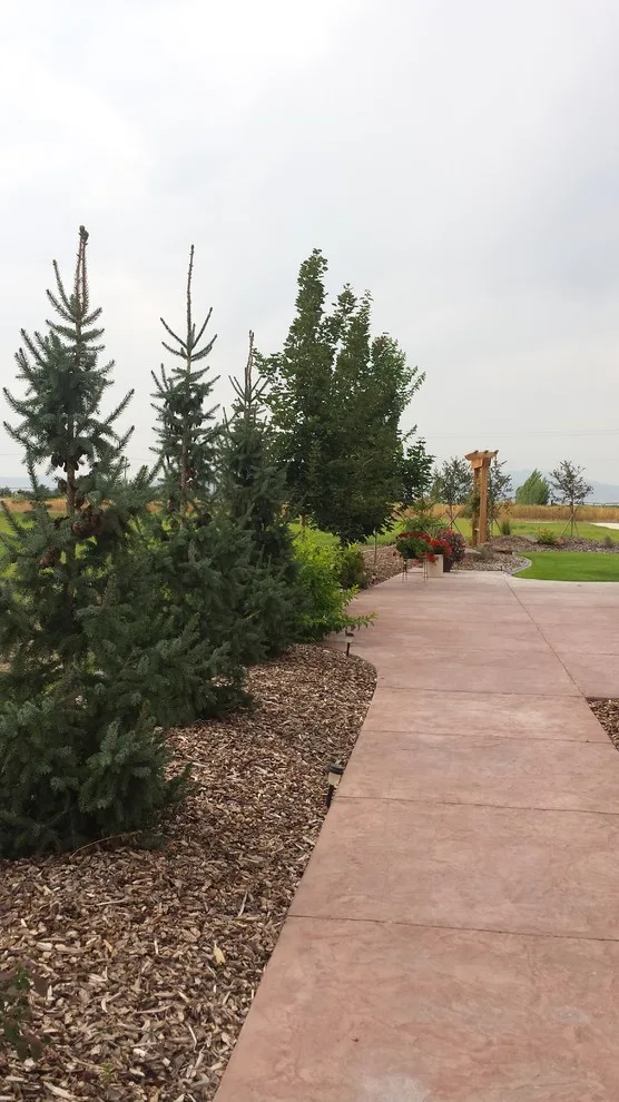 Rural Lifestyle by Kimberly Nurseries Landscaping & Irrigation - Photo 13