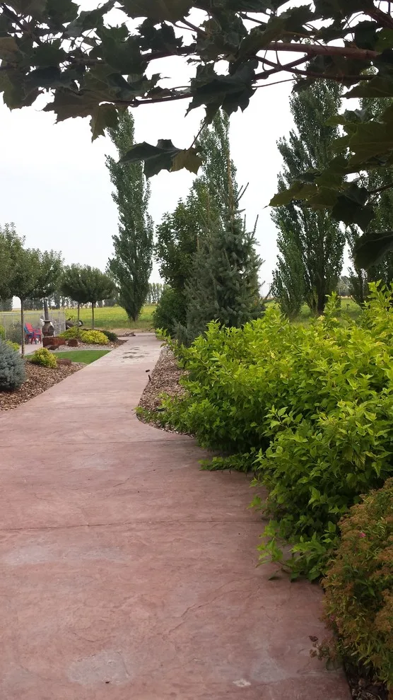 Rural Lifestyle by Kimberly Nurseries Landscaping & Irrigation - Photo 15