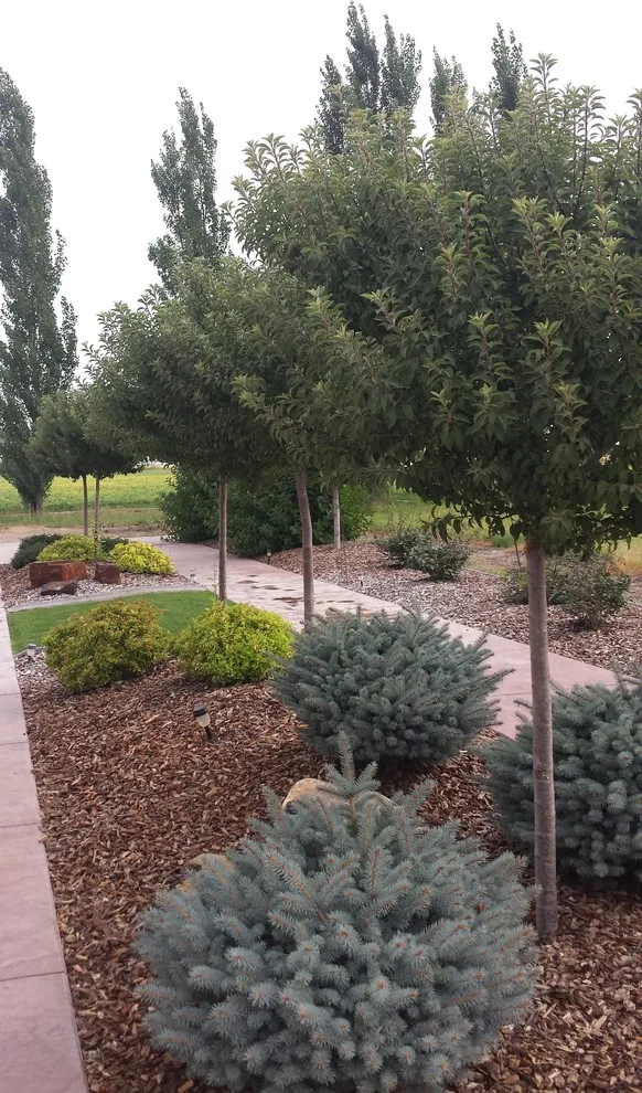 Rural Lifestyle by Kimberly Nurseries Landscaping & Irrigation - Photo 9