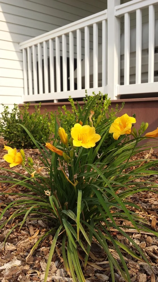 Kimberly Nurseries Landscaping & Irrigation - Photo 11