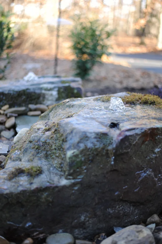 Eclipse Land Management - Photo 8
