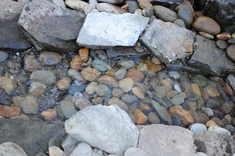 Tailored Landscape with Water Elements by Eclipse Land Management - Photo 21