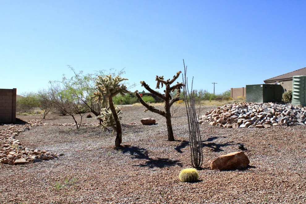 Michael Sanger by Payless Landscape & Irrigation Services, LLC - Photo 14