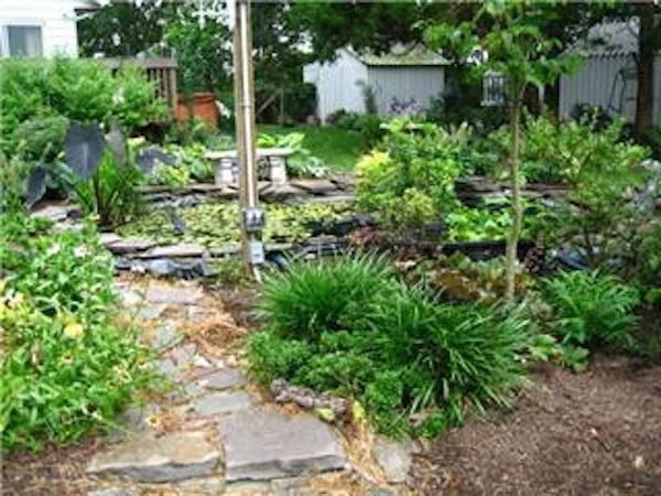 Green Lawns LLC - Photo 3
