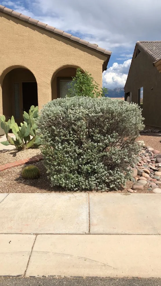 Desert Stream Initiative by Payless Landscape & Irrigation Services, LLC - Photo 4