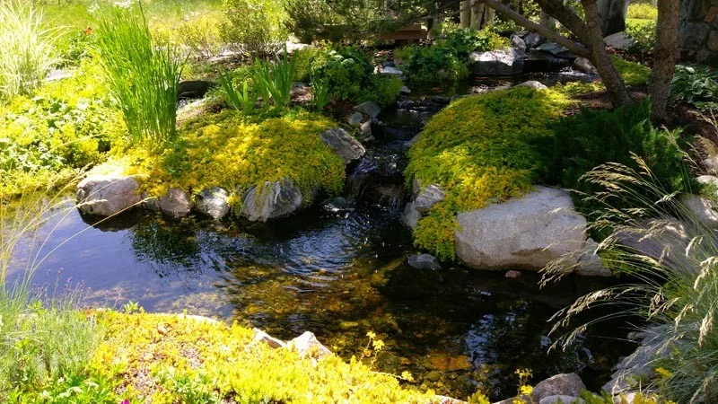 Redesign by Novus Landscape - Photo 5
