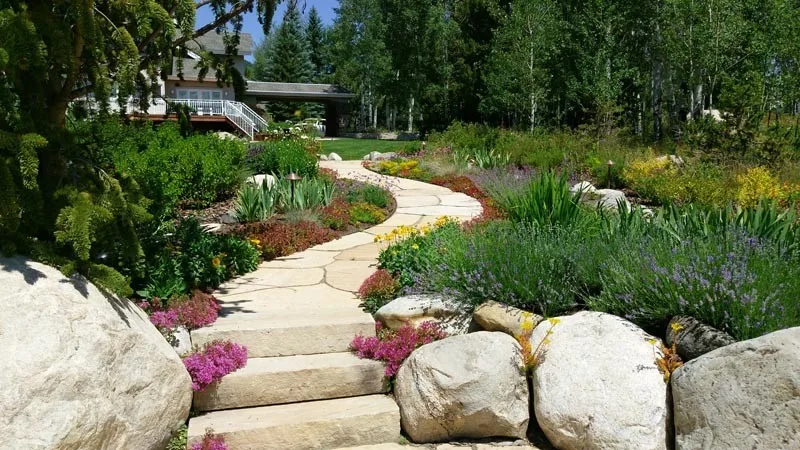 Novus Landscape - Photo 11
