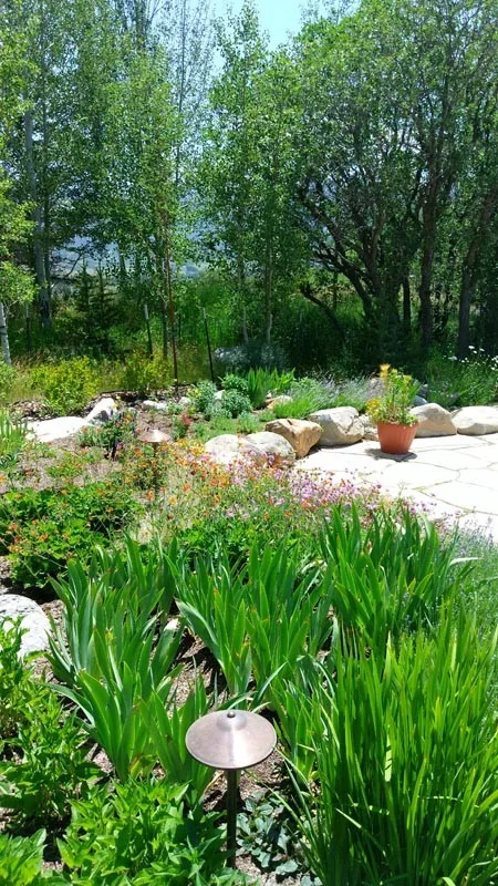 Redesign by Novus Landscape - Photo 7
