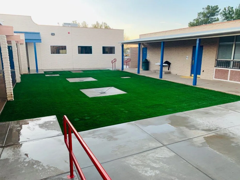 AW Turf LLC - Photo 9