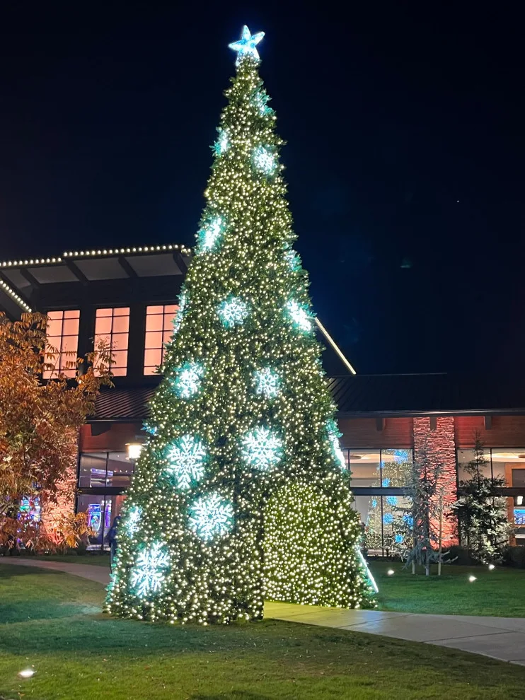 Eagle Mountain Casino Holiday Celebration by Kaylor Landscape + Christmas Decor - Photo 16