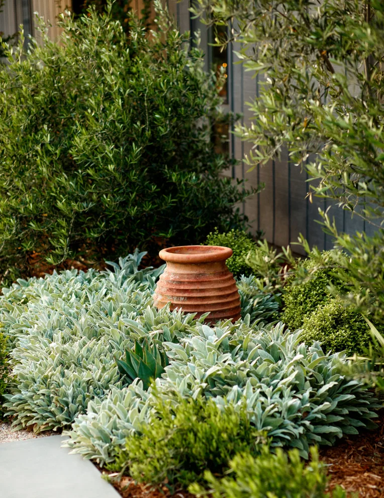 Endeavor Initiative by AAA Landscaping LLC - Photo 2