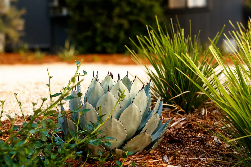 Endeavor Initiative by AAA Landscaping LLC - Photo 14