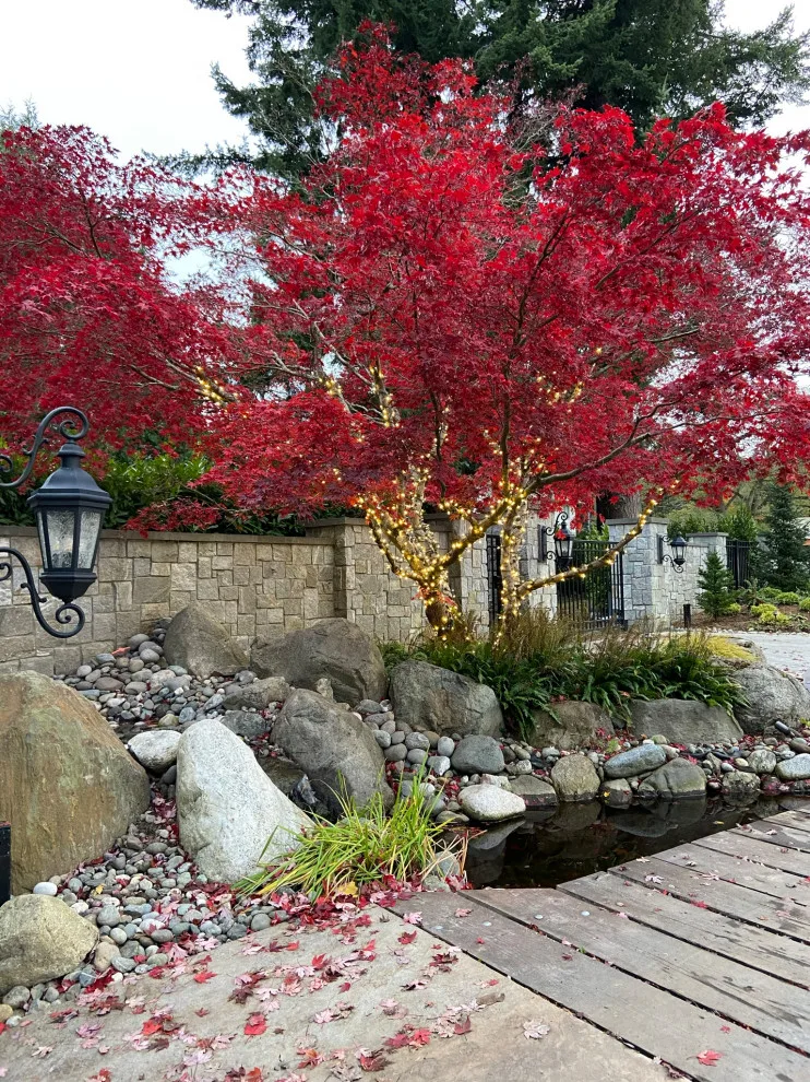 Winter Wonderland for Your Backyard by ProScapes by ProScapes - Photo 4