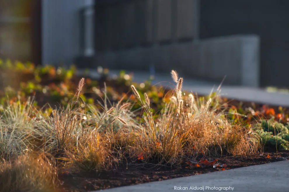 ProScapes - Photo 12