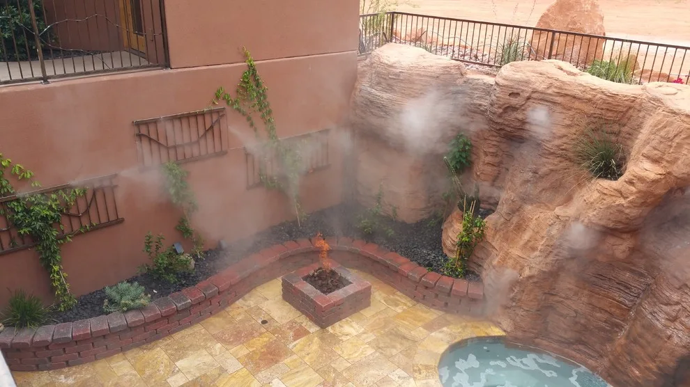 Desert Mist - Photo 5