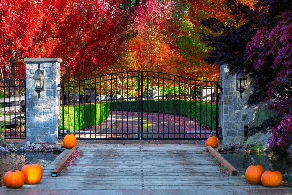PROPERTY | by ProScapes by ProScapes - Photo 3
