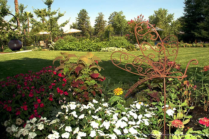 European Official by Plant Systems Landscape - Photo 6