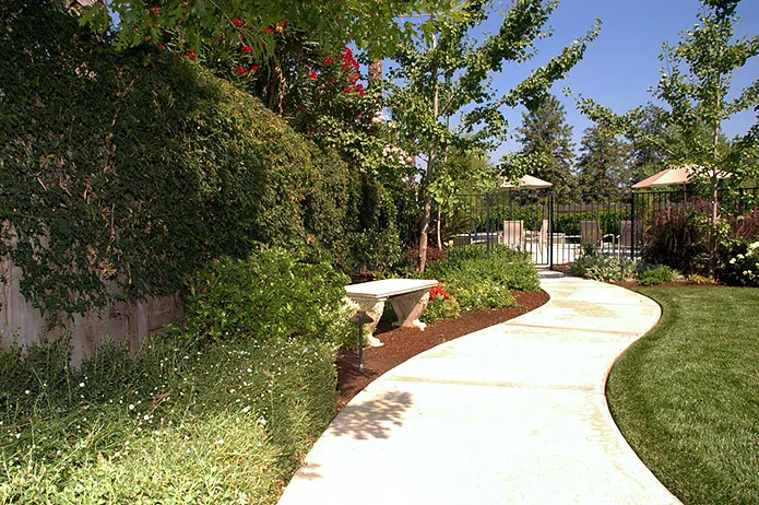 European Official by Plant Systems Landscape - Photo 2