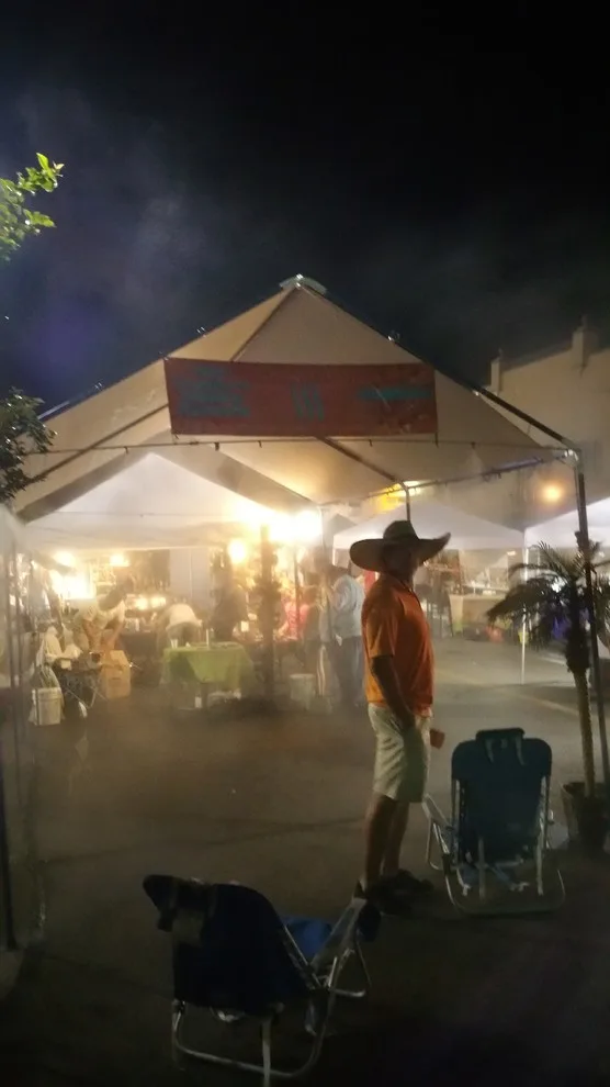 Desert Mist - Photo 13