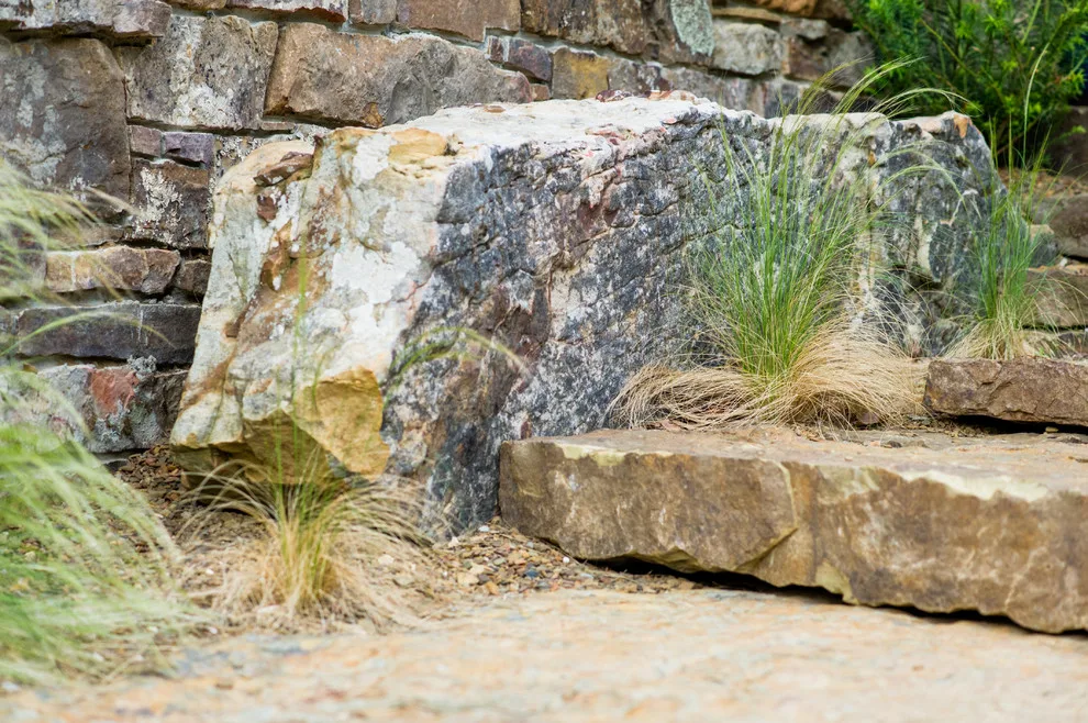 Fayetteville Home by Professional Landscaping Company - Photo 5
