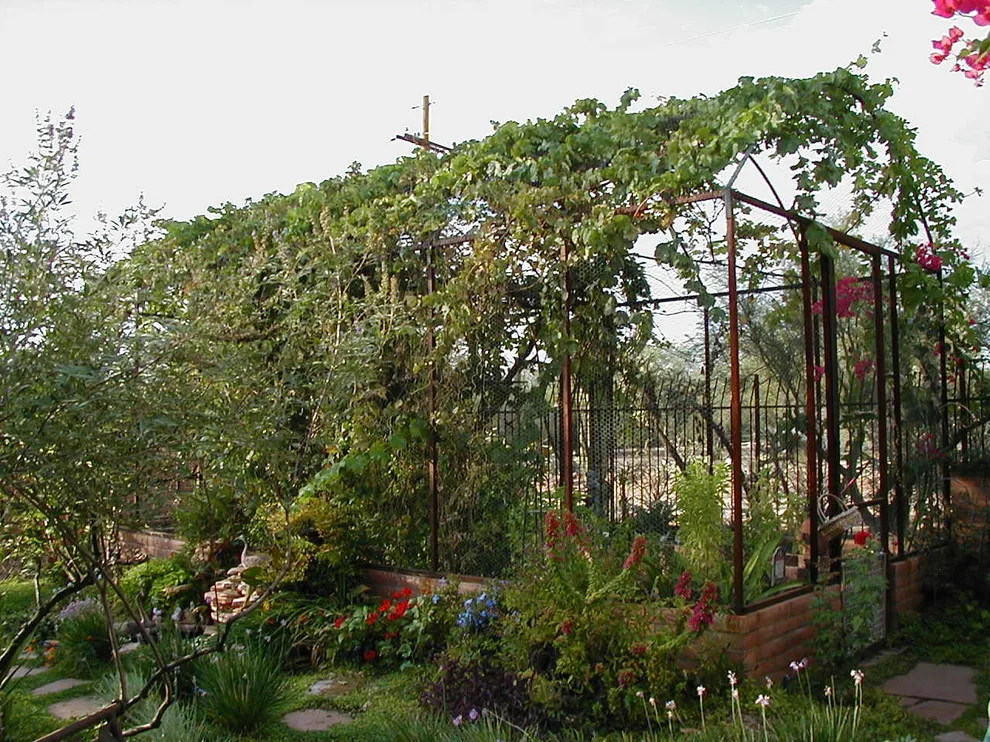Fiora Home by ALA, Artistic Landscape Architecture - Photo 6