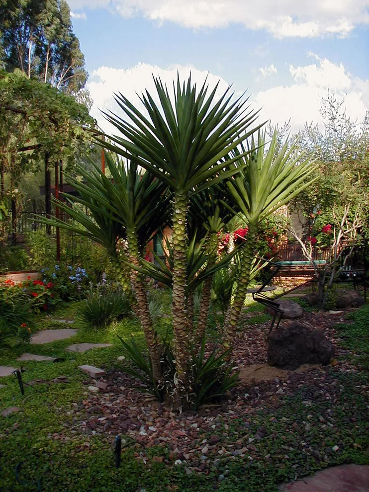 Fiora Home by ALA, Artistic Landscape Architecture - Photo 2