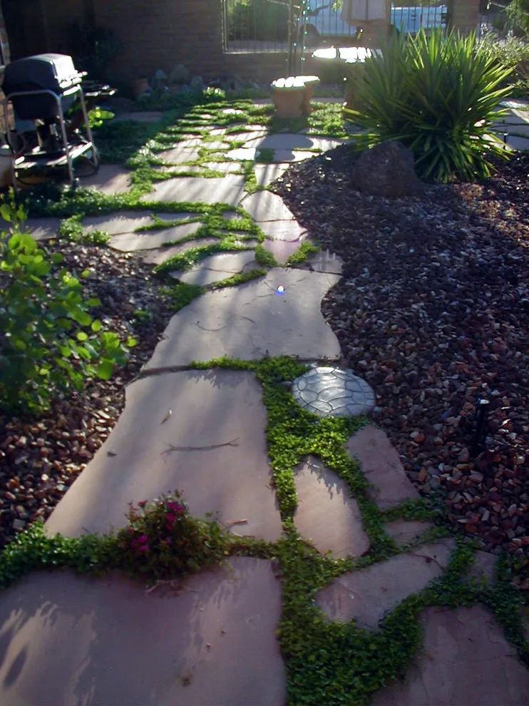 Fiora Home by ALA, Artistic Landscape Architecture - Photo 7