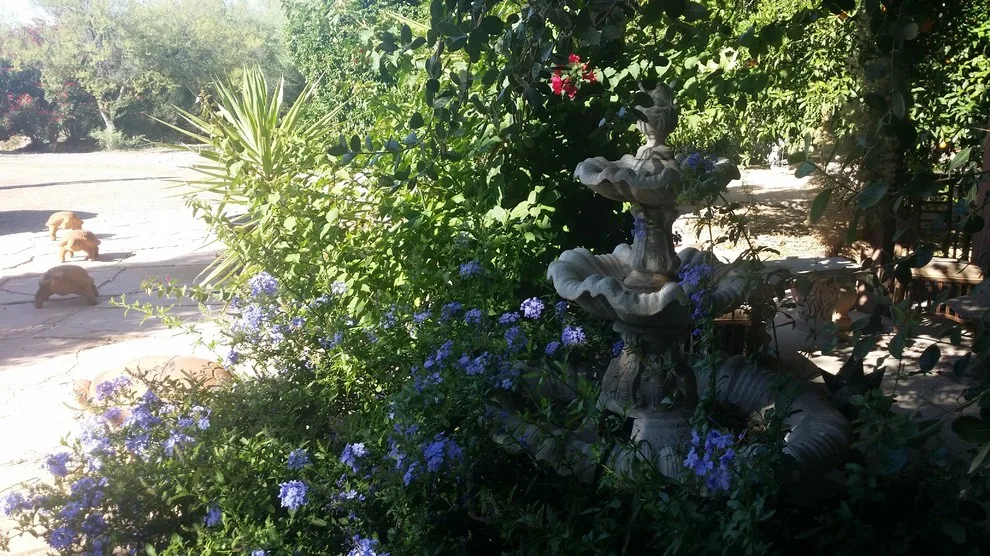 Fiora Home by ALA, Artistic Landscape Architecture - Photo 15