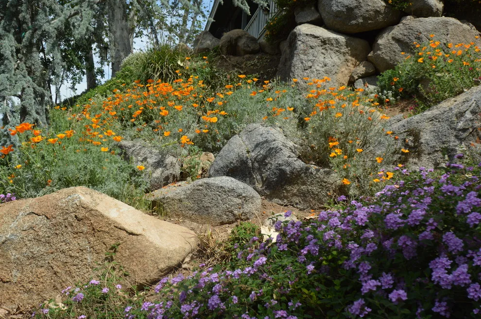 Hillside Property by Kaylor Landscape + Christmas Decor - Photo 11