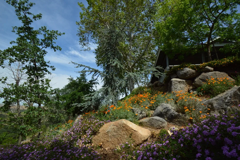 Hillside Property by Kaylor Landscape + Christmas Decor - Photo 6