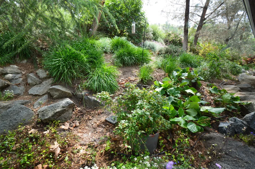 Hillside Property by Kaylor Landscape + Christmas Decor - Photo 7