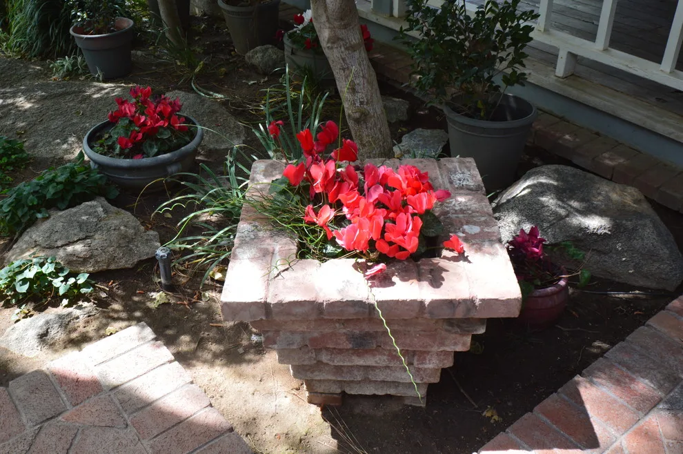 Hillside Property by Kaylor Landscape + Christmas Decor - Photo 9