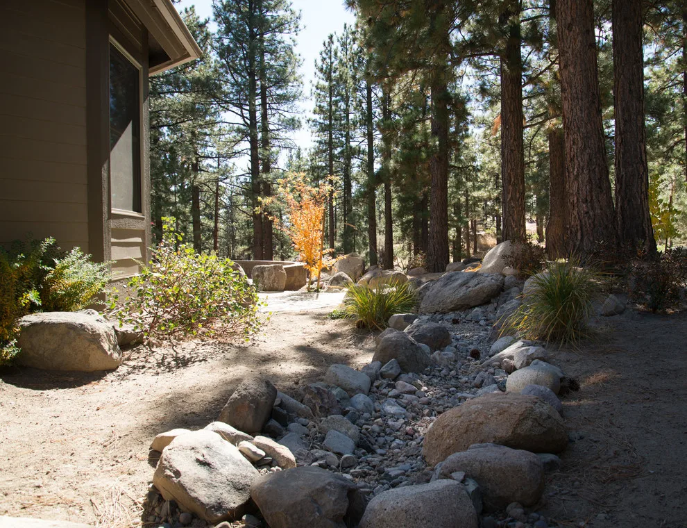 Backyard Renovation for a Forest Home by Gail Willey Landscaping & Colorock - Photo 20