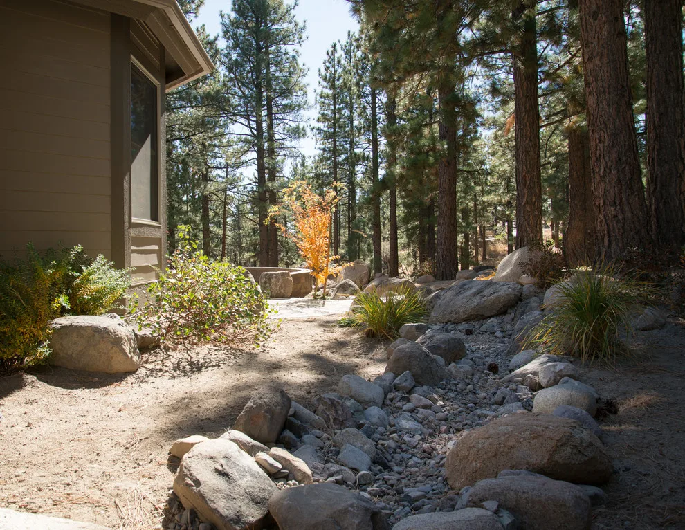Backyard Renovation for a Forest Home by Gail Willey Landscaping & Colorock - Photo 8