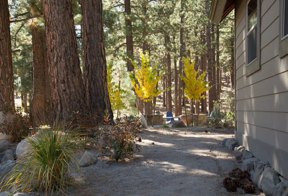 Gail Willey Landscaping & Colorock - Photo 2