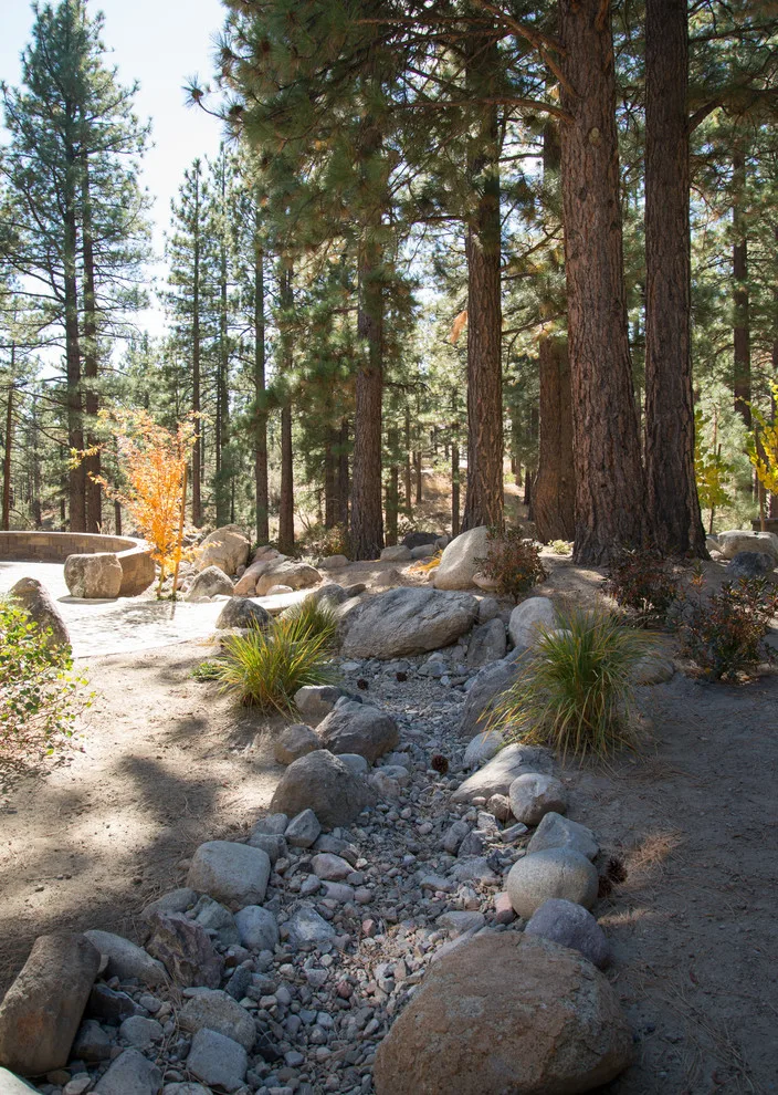 Backyard Renovation for a Forest Home by Gail Willey Landscaping & Colorock - Photo 16