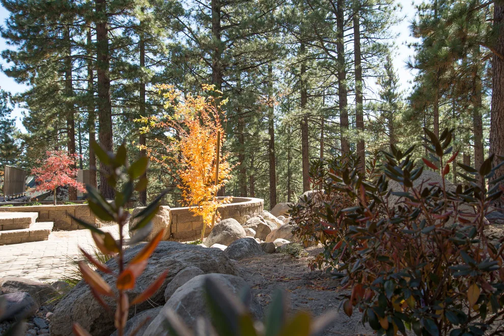 Backyard Renovation for a Forest Home by Gail Willey Landscaping & Colorock - Photo 17