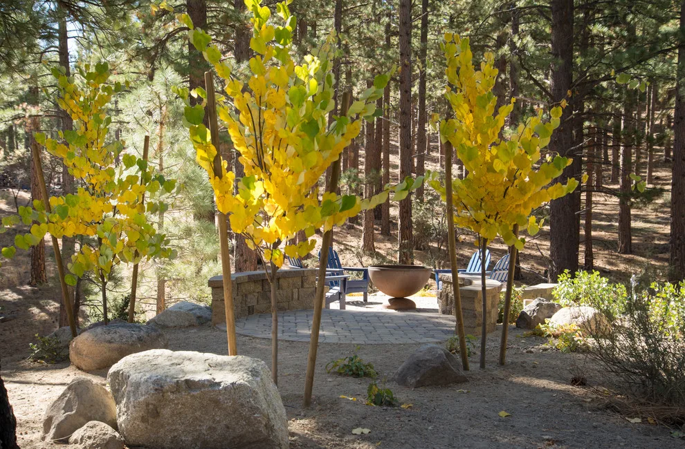 Backyard Renovation for a Forest Home by Gail Willey Landscaping & Colorock - Photo 7