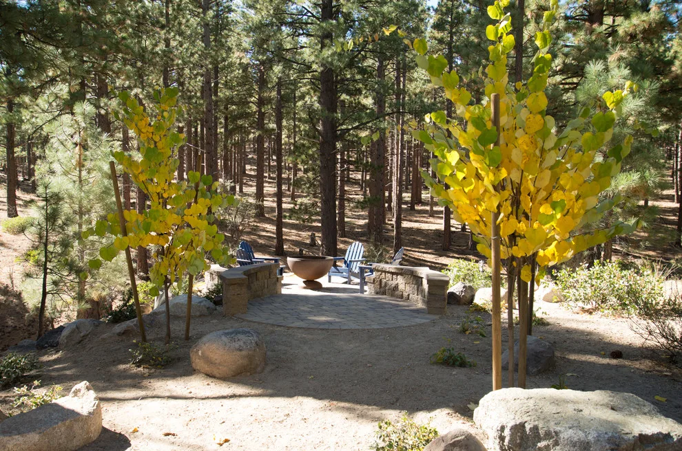 Backyard Renovation for a Forest Home by Gail Willey Landscaping & Colorock - Photo 5
