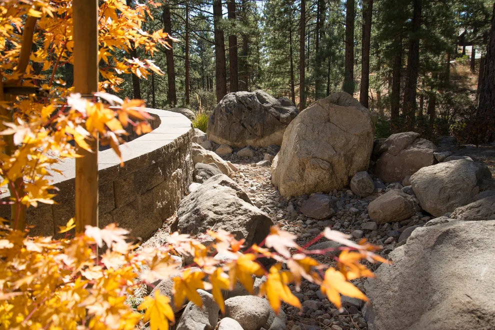 Backyard Renovation for a Forest Home by Gail Willey Landscaping & Colorock - Photo 13
