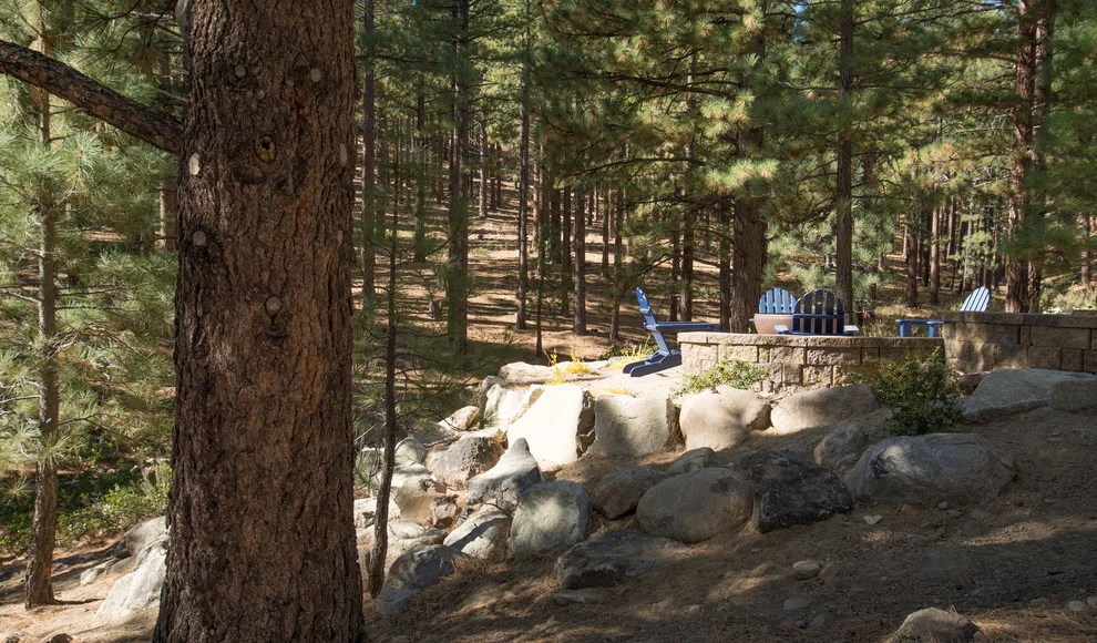 Backyard Renovation for a Forest Home by Gail Willey Landscaping & Colorock - Photo 21
