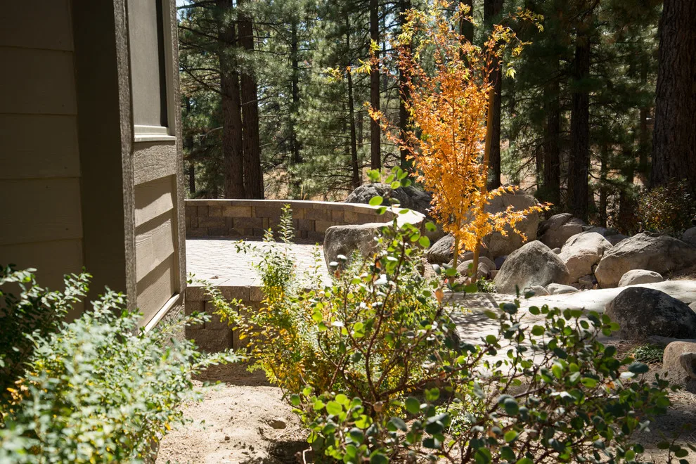 Backyard Renovation for a Forest Home by Gail Willey Landscaping & Colorock - Photo 2