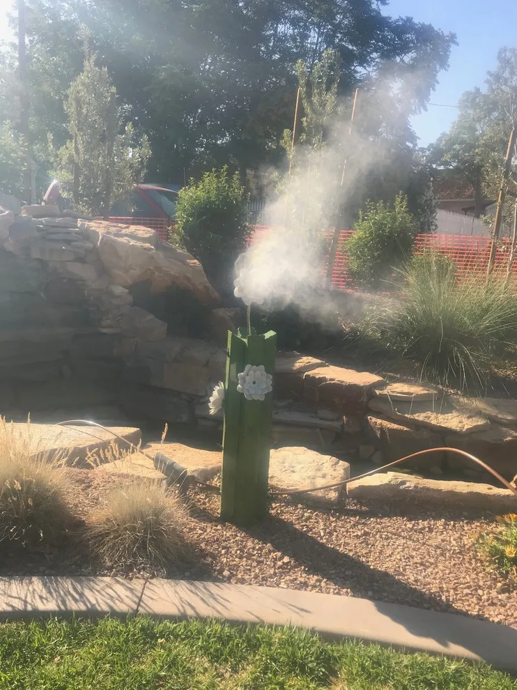 Desert Mist - Photo 8