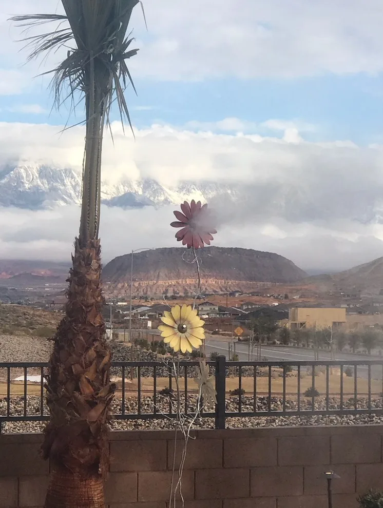 Desert Mist - Photo 14