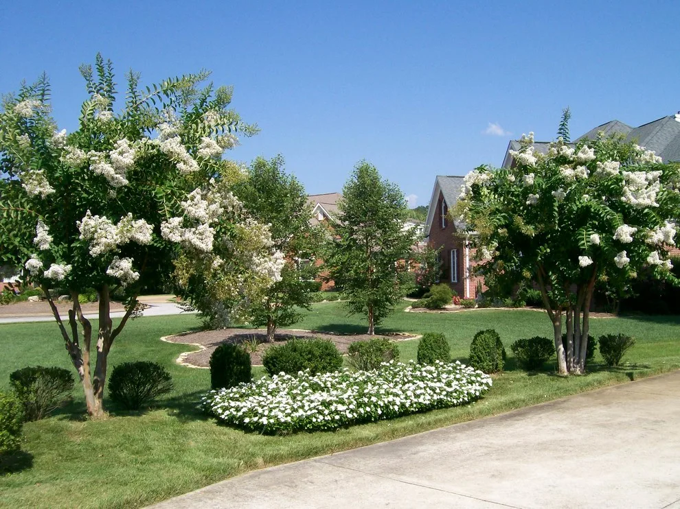 French Garden Design by Crider Landscaping - Photo 11