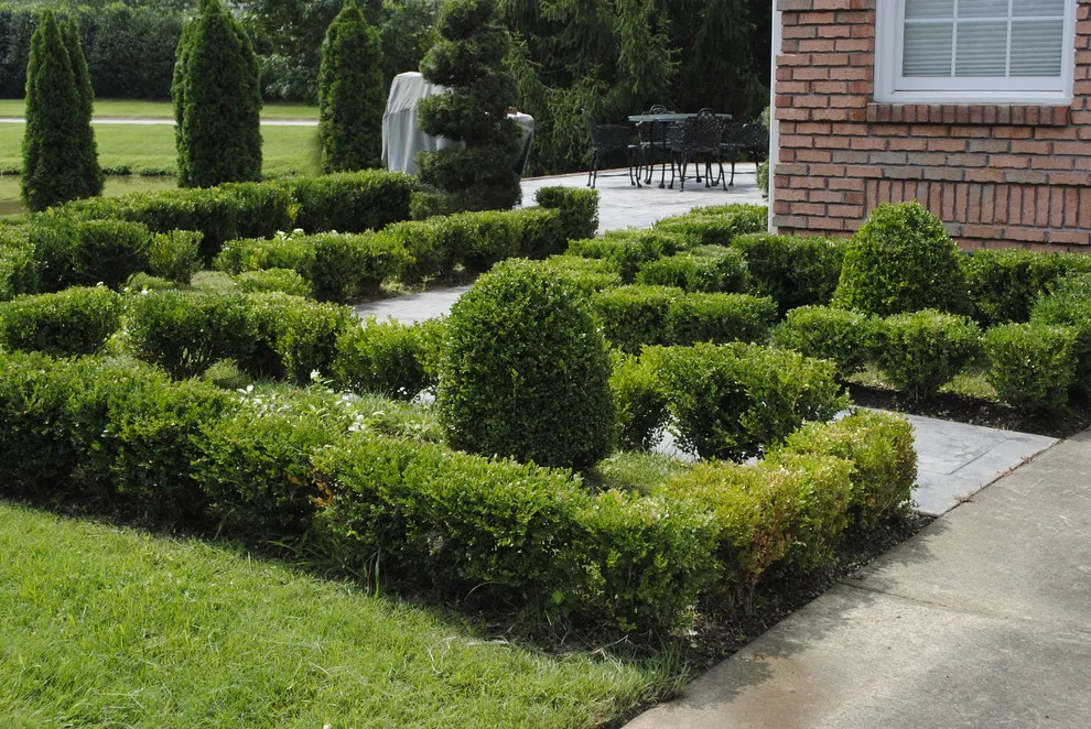 French Garden Design by Crider Landscaping - Photo 7