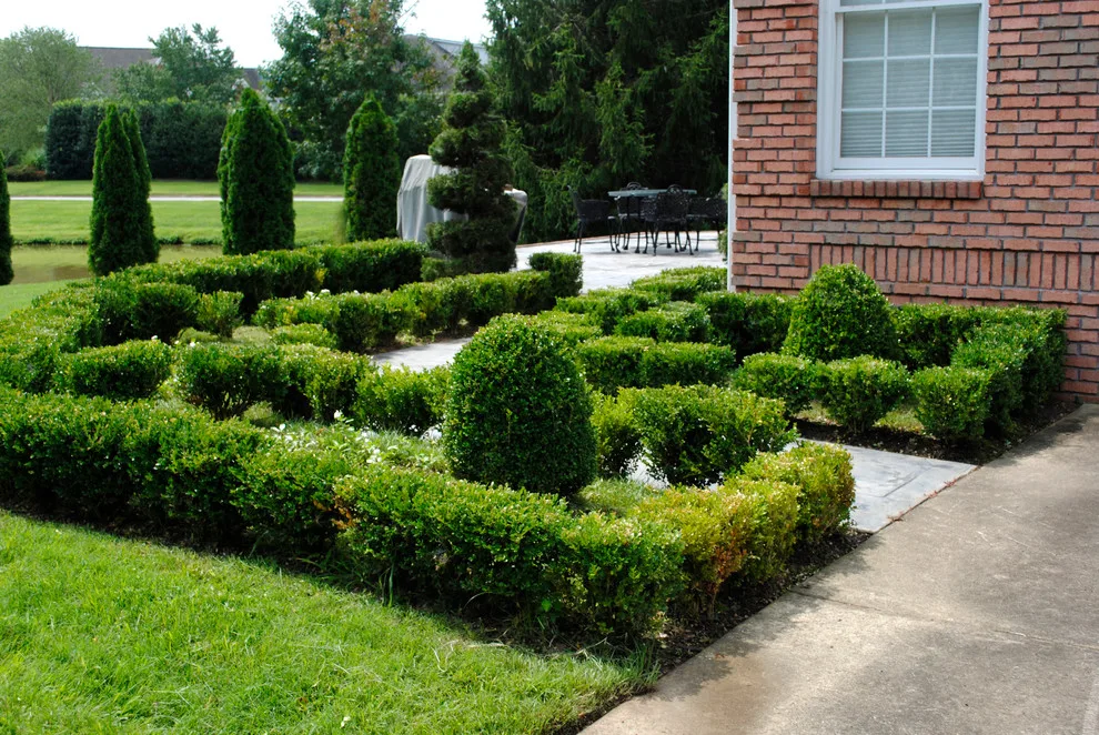 French Garden Design by Crider Landscaping - Photo 3