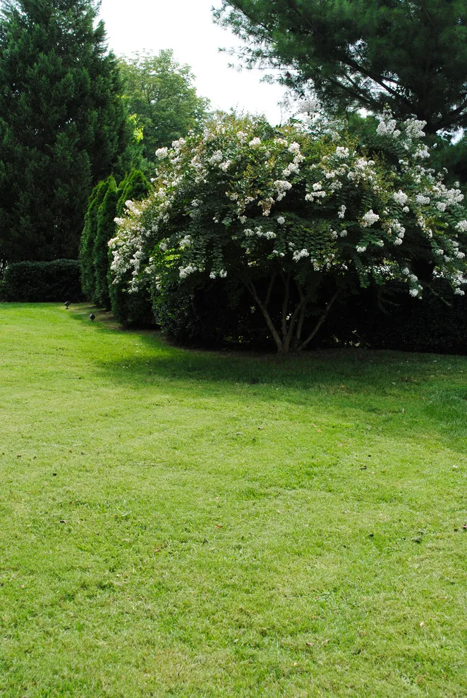 French Garden Design by Crider Landscaping - Photo 4