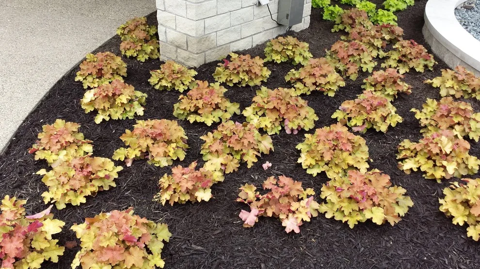 Front Garden Entryway by Outdoor Innovations - Photo 5