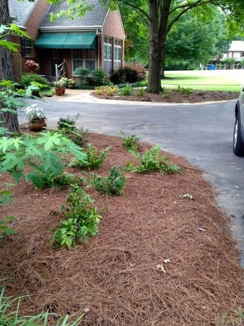 Olive Branch Full Exterior Renovation by Mid-South Curb Appeal, LLC - Photo 8